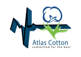 Atlas Cotton